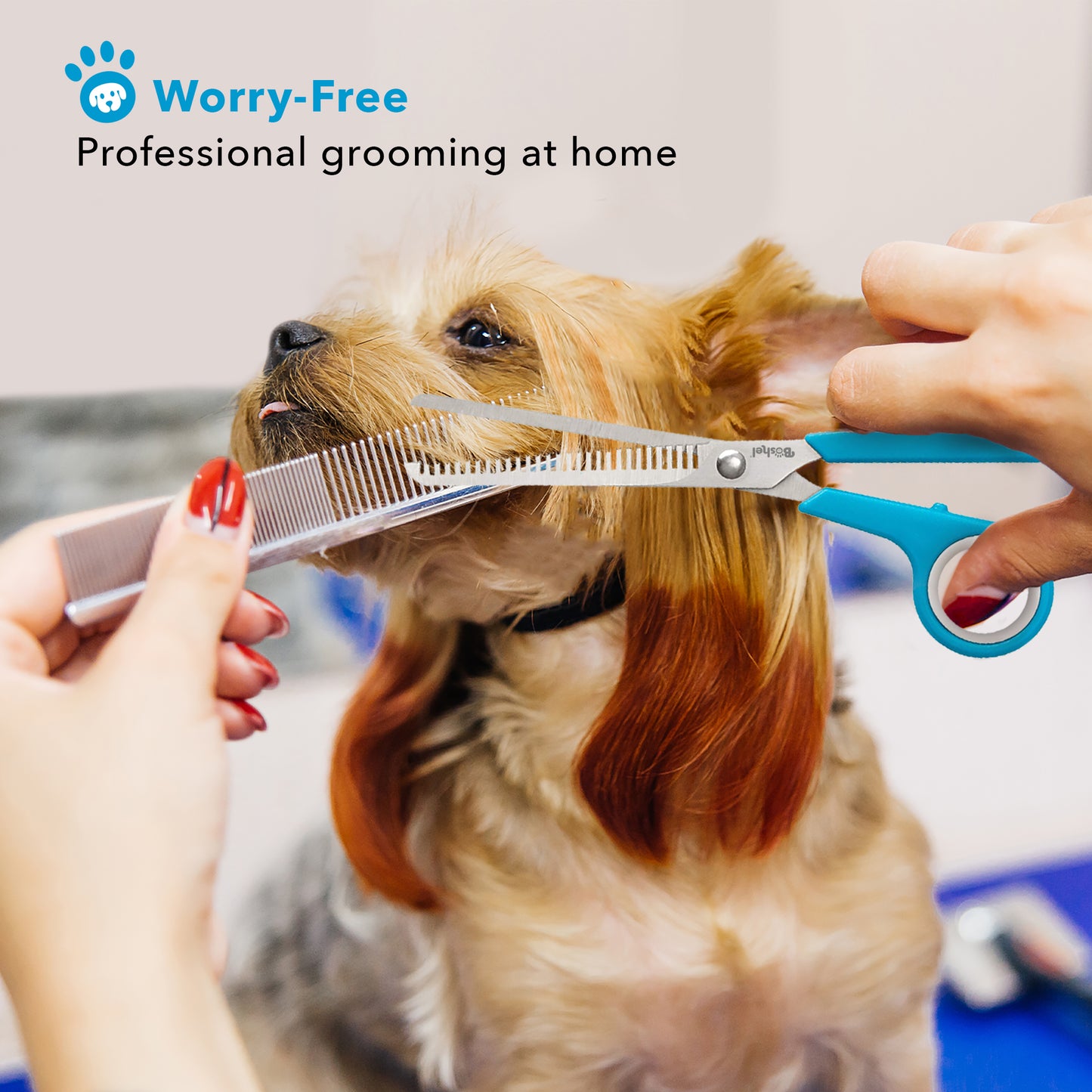 Dog Thinning Shears Scissors