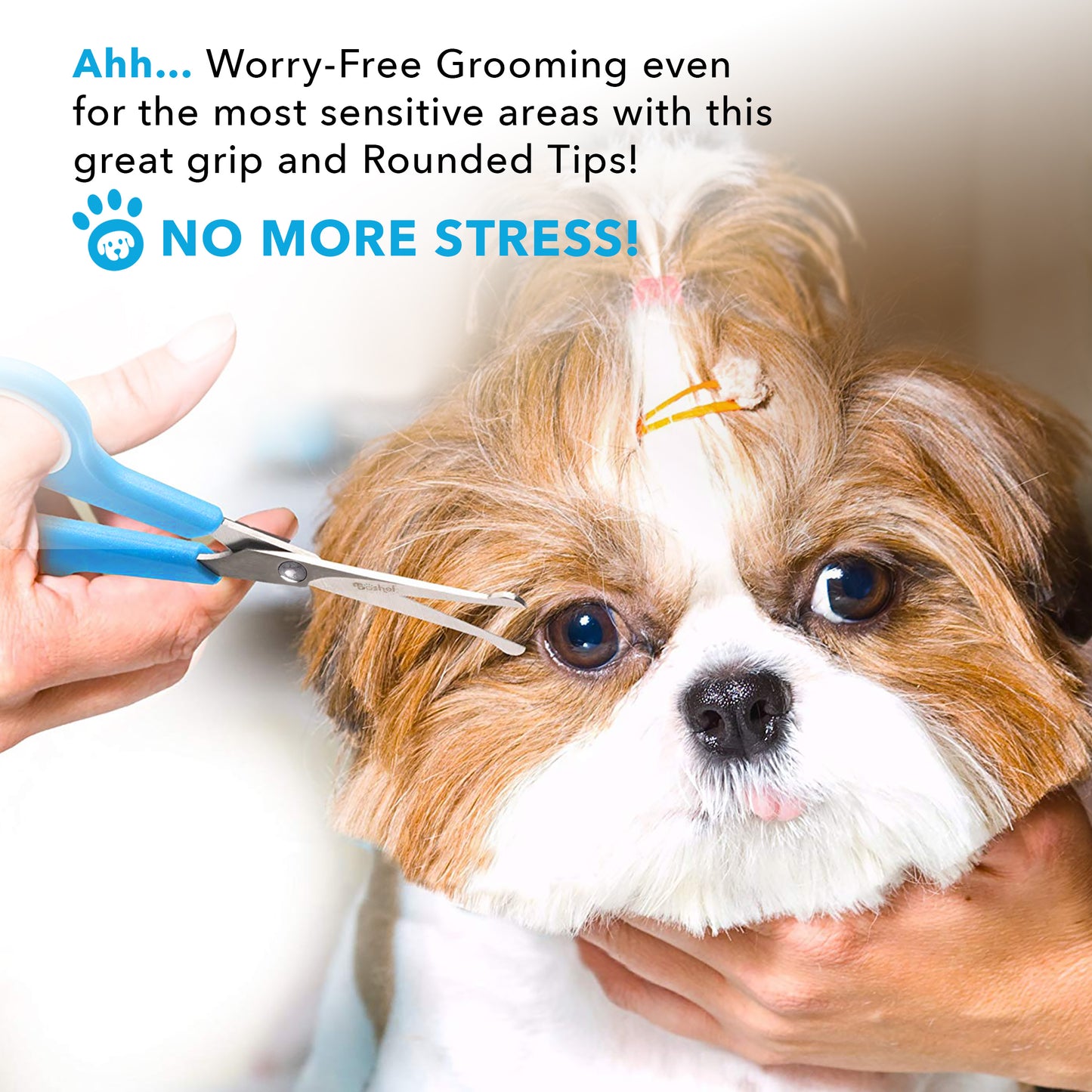 Dog Grooming Scissors 2 Pack Set