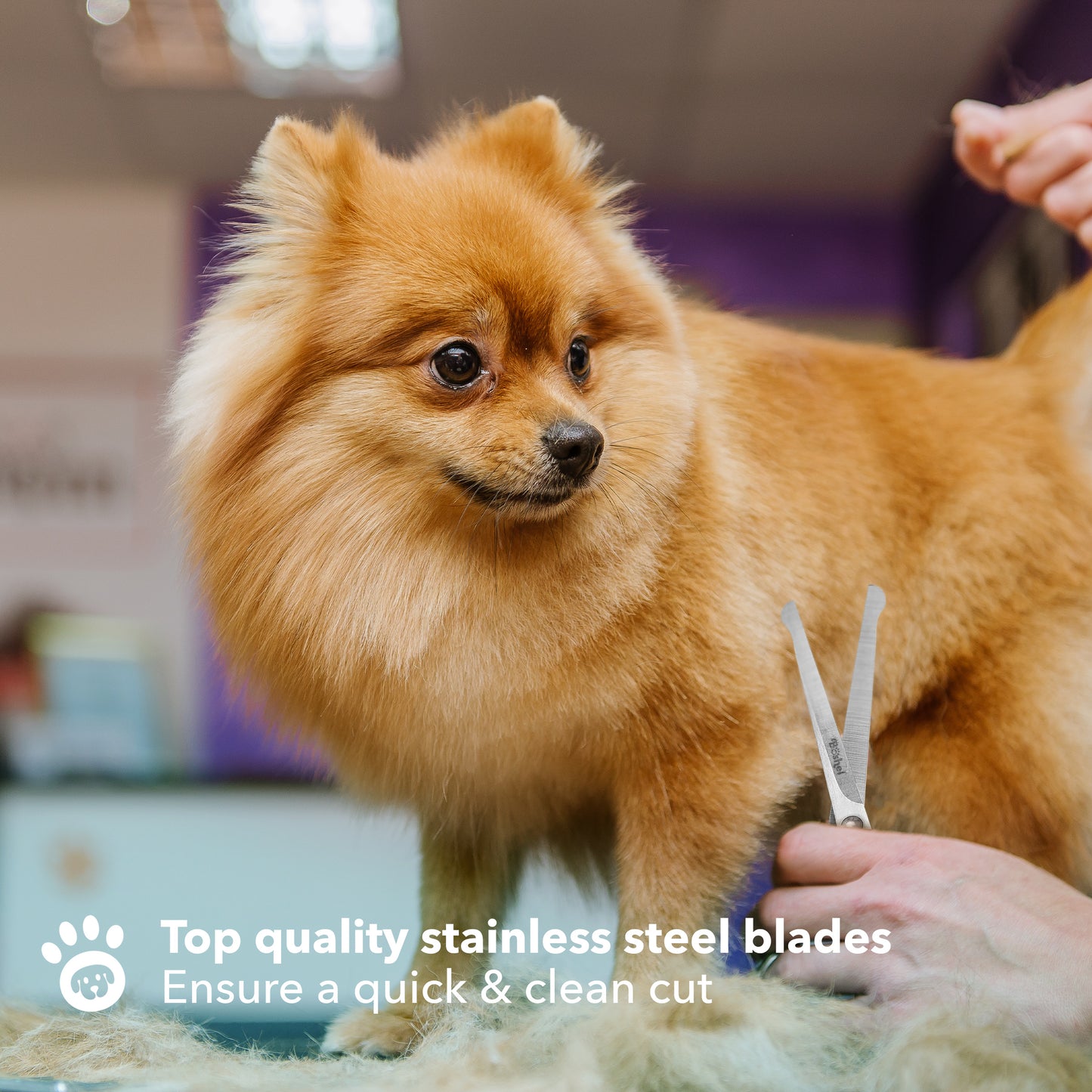 Dog Grooming Scissors 2 Pack Set