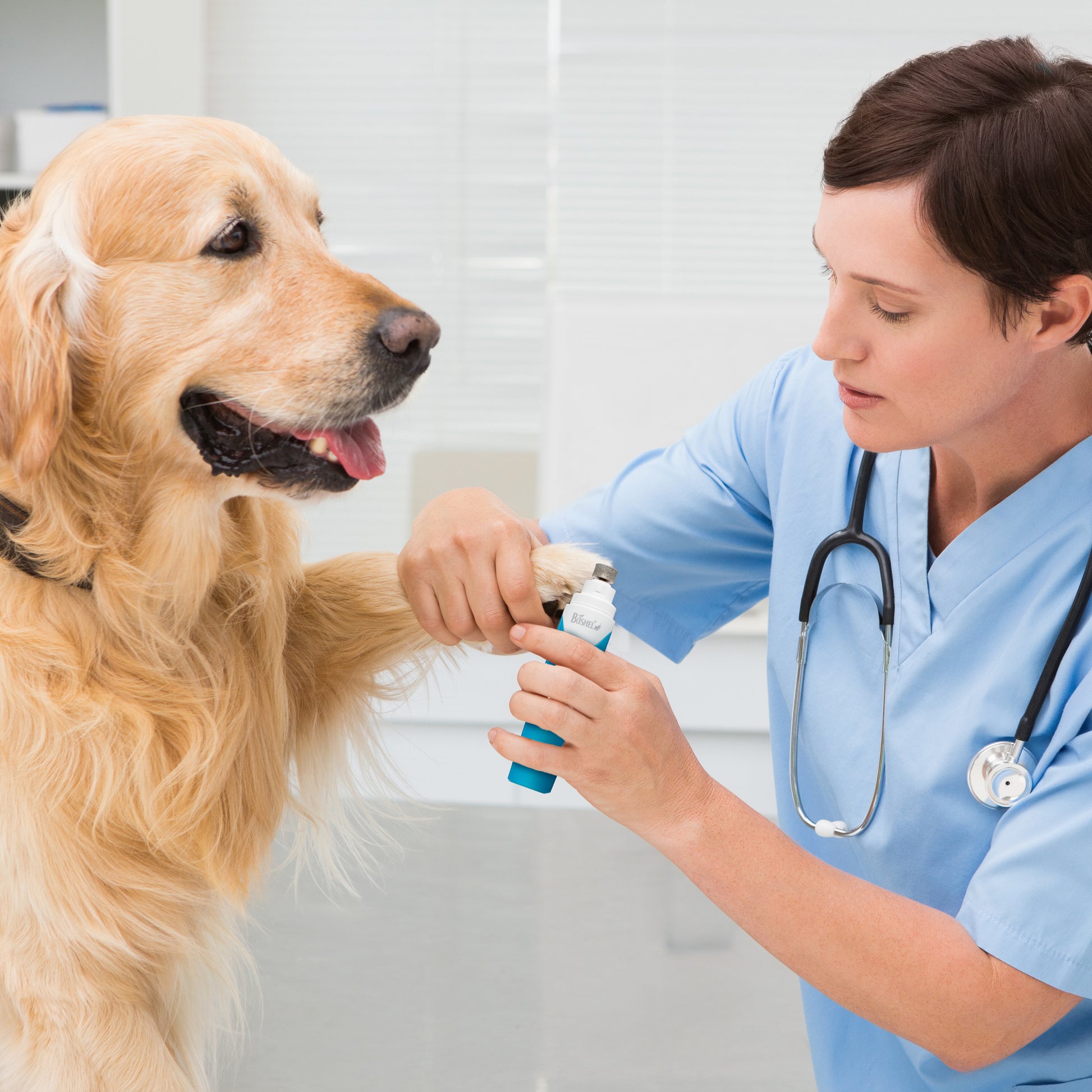 Dog Nail Grinder - BOSHEL STORE