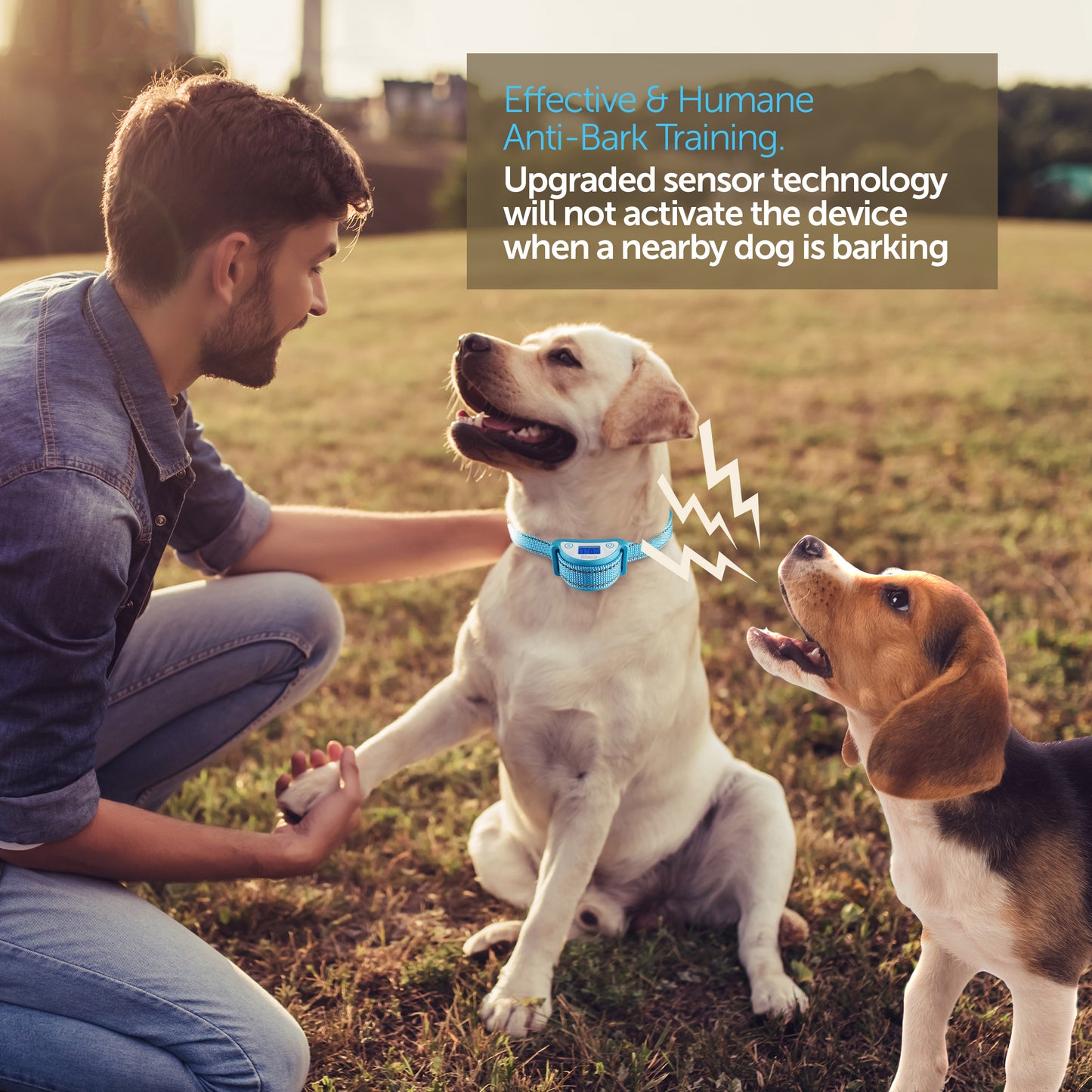 Dog Bark Collar - BOSHEL STORE