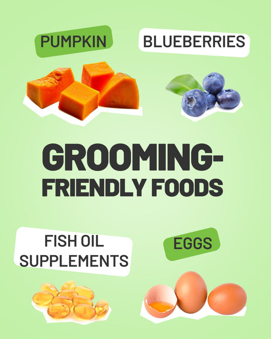 We're Giving Away 10 Grooming Products - Are You In?