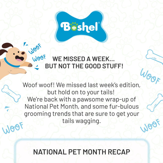 We Missed a Week... But Not the Good Stuff!