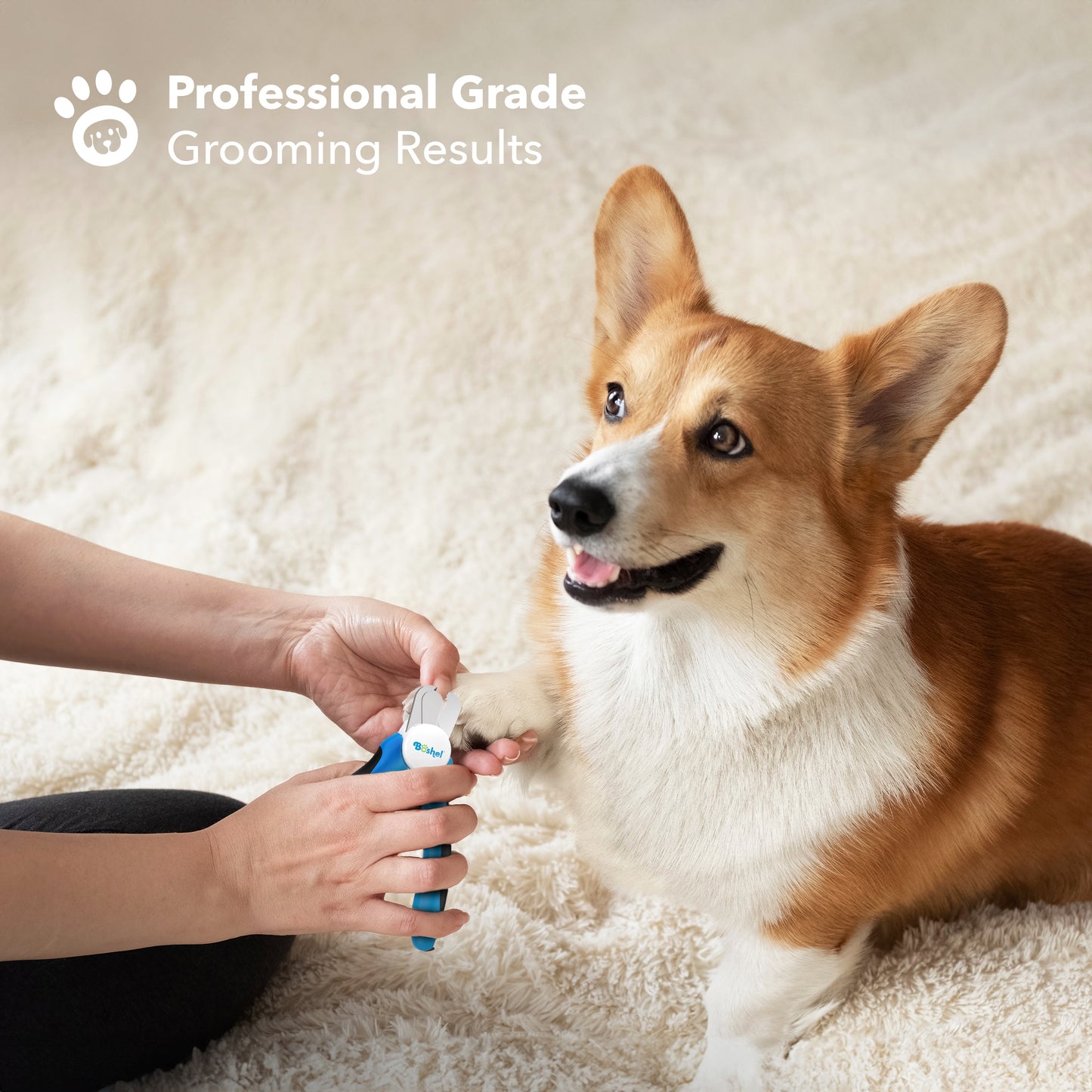 Dog LED Nail Clippers With Small Nail File