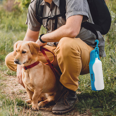 Dog Travel Water Bottle - BOSHEL STORE